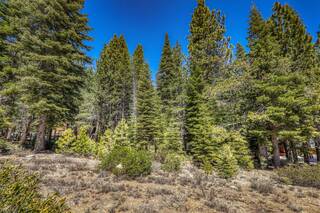 Listing Image 20 for 16859 Northwoods Boulevard, Truckee, CA 96161-0000