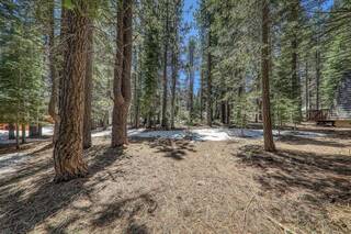 Listing Image 3 for 16859 Northwoods Boulevard, Truckee, CA 96161-0000