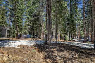 Listing Image 5 for 16859 Northwoods Boulevard, Truckee, CA 96161-0000
