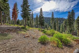 Listing Image 15 for 19085 Glades Place, Truckee, CA 96161-0000