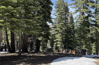 Listing Image 3 for 12290 Muhlebach Way, Truckee, CA 96161