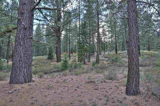 Listing Image 12 for 11101 China Camp Road, Truckee, CA 96161