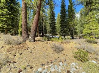 Listing Image 13 for 11098 Parkland Drive, Truckee, CA 96161