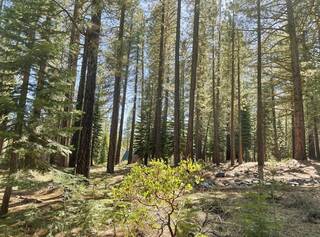 Listing Image 14 for 11098 Parkland Drive, Truckee, CA 96161