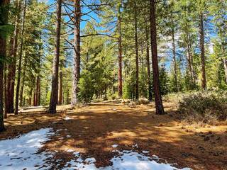 Listing Image 6 for 11098 Parkland Drive, Truckee, CA 96161