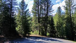 Listing Image 13 for 638 Eureka Springs Drive, Blairsden, CA 96103