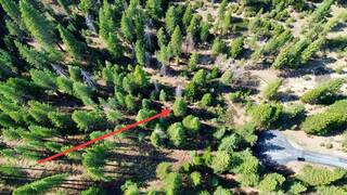 Listing Image 5 for 638 Eureka Springs Drive, Blairsden, CA 96103