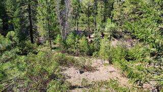 Listing Image 8 for 638 Eureka Springs Drive, Blairsden, CA 96103