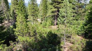 Listing Image 9 for 638 Eureka Springs Drive, Blairsden, CA 96103