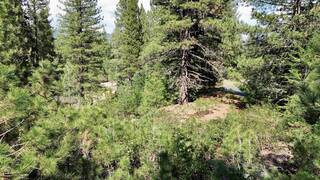 Listing Image 10 for 638 Eureka Springs Drive, Blairsden, CA 96103