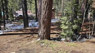 Listing Image 2 for 10104 Summit Drive, Truckee, CA 96161