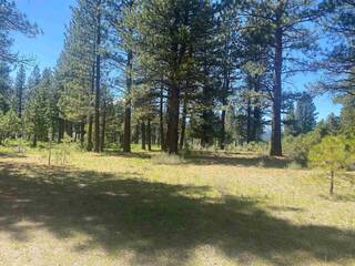 Listing Image 3 for 553 Redtail Loop, Clio, CA 96106