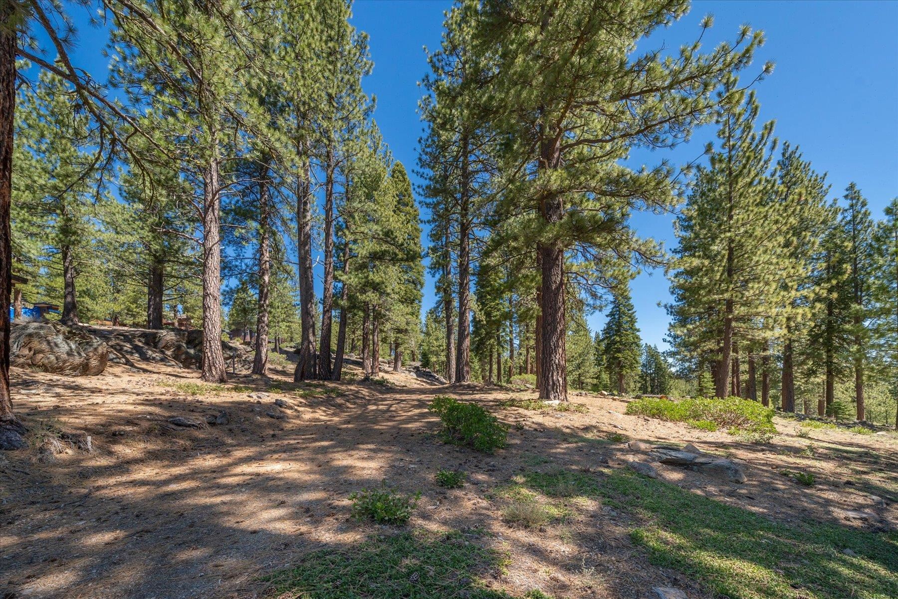 Image for 11569 China Camp Road, Truckee, CA 96161