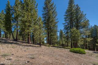 Listing Image 14 for 11569 China Camp Road, Truckee, CA 96161