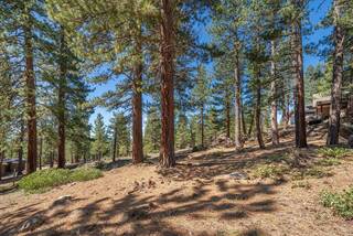 Listing Image 18 for 11569 China Camp Road, Truckee, CA 96161