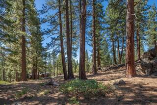 Listing Image 7 for 11569 China Camp Road, Truckee, CA 96161