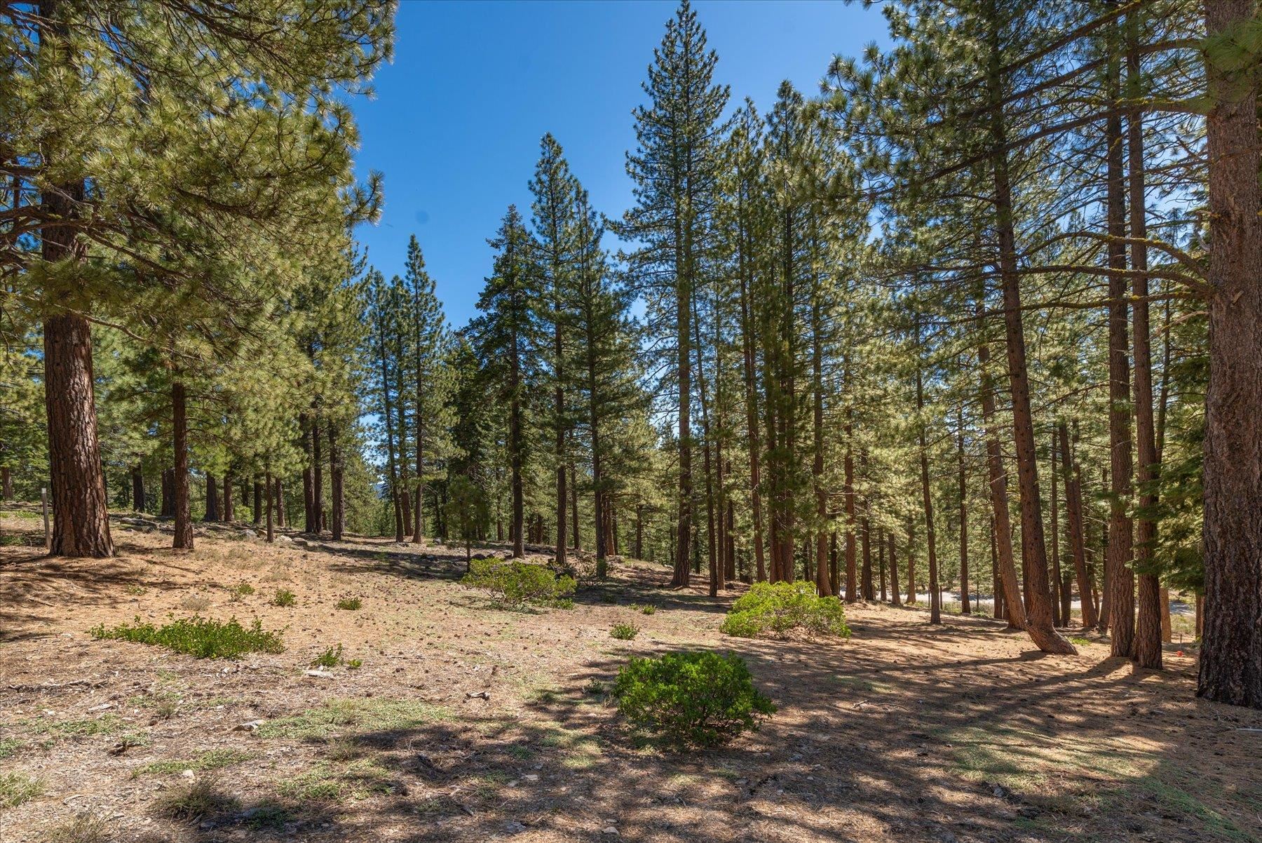 Image for 11555 China Camp Road, Truckee, CA 96161