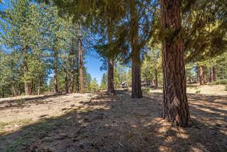 Listing Image 18 for 11555 China Camp Road, Truckee, CA 96161