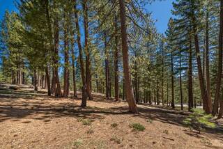 Listing Image 3 for 11555 China Camp Road, Truckee, CA 96161