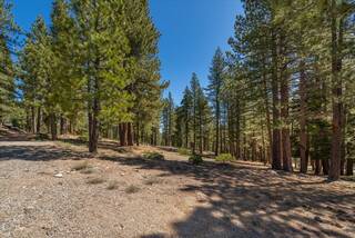 Listing Image 5 for 11555 China Camp Road, Truckee, CA 96161