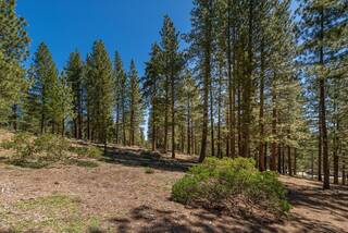 Listing Image 9 for 11555 China Camp Road, Truckee, CA 96161