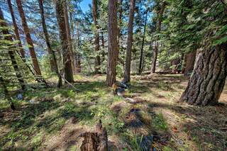 Listing Image 15 for 10607 Donner Lake Road, Truckee, CA 96161