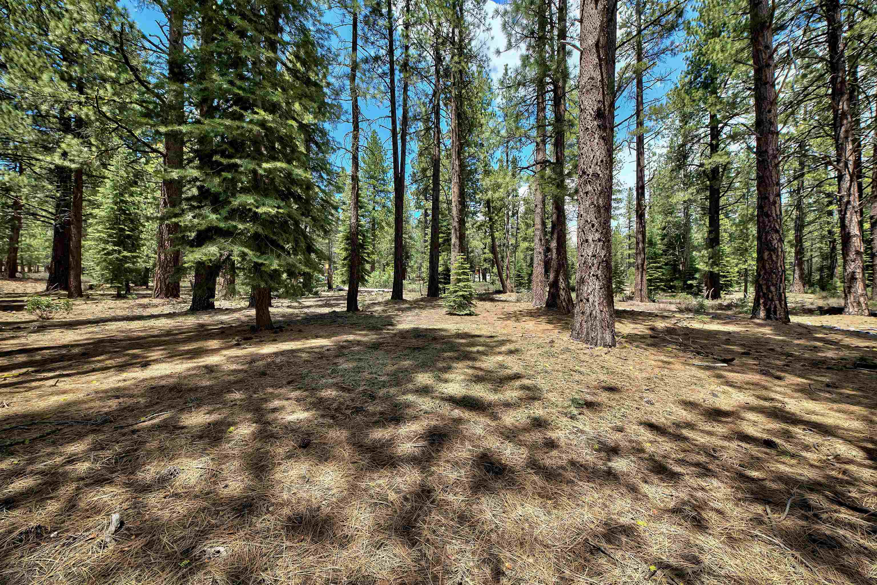 Image for 12510 Granite Drive, Truckee, CA 96161