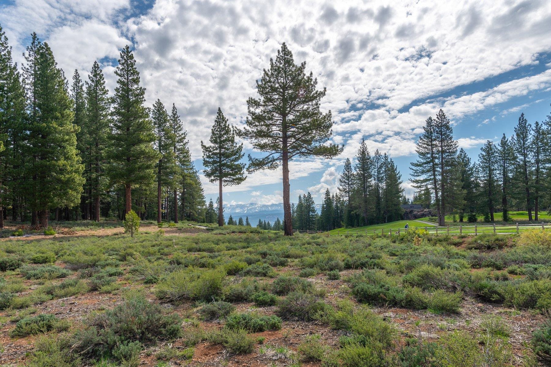 Image for 10726 Carson Range Court, Truckee, CA 96161