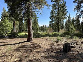 Listing Image 11 for 8710 Lahontan Drive, Truckee, CA 96161