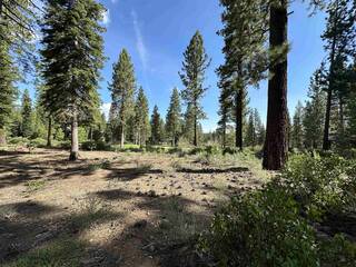 Listing Image 8 for 8710 Lahontan Drive, Truckee, CA 96161