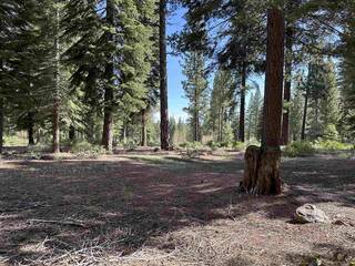 Listing Image 10 for 8710 Lahontan Drive, Truckee, CA 96161