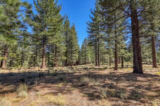 Listing Image 6 for 8154 Lahontan Drive, Truckee, CA 96161