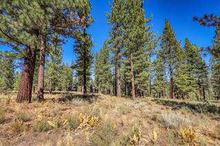 Listing Image 9 for 8154 Lahontan Drive, Truckee, CA 96161