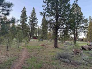 Listing Image 6 for 15349 Chelmsford Street, Truckee, CA 96161-2407