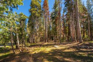 Listing Image 4 for 6626 Yuba Drive, Soda Springs, CA 95728