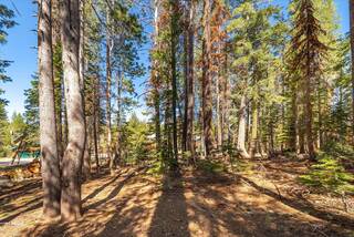 Listing Image 6 for 6626 Yuba Drive, Soda Springs, CA 95728