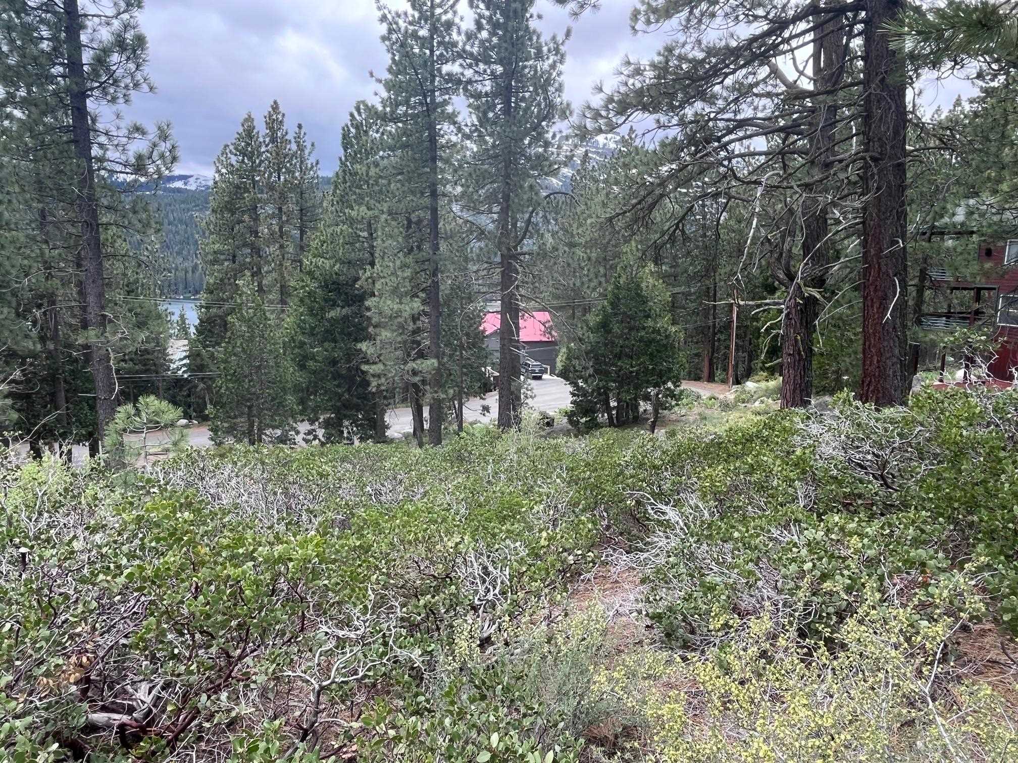 Image for 15410 Cedar Point Drive, Truckee, CA 96161