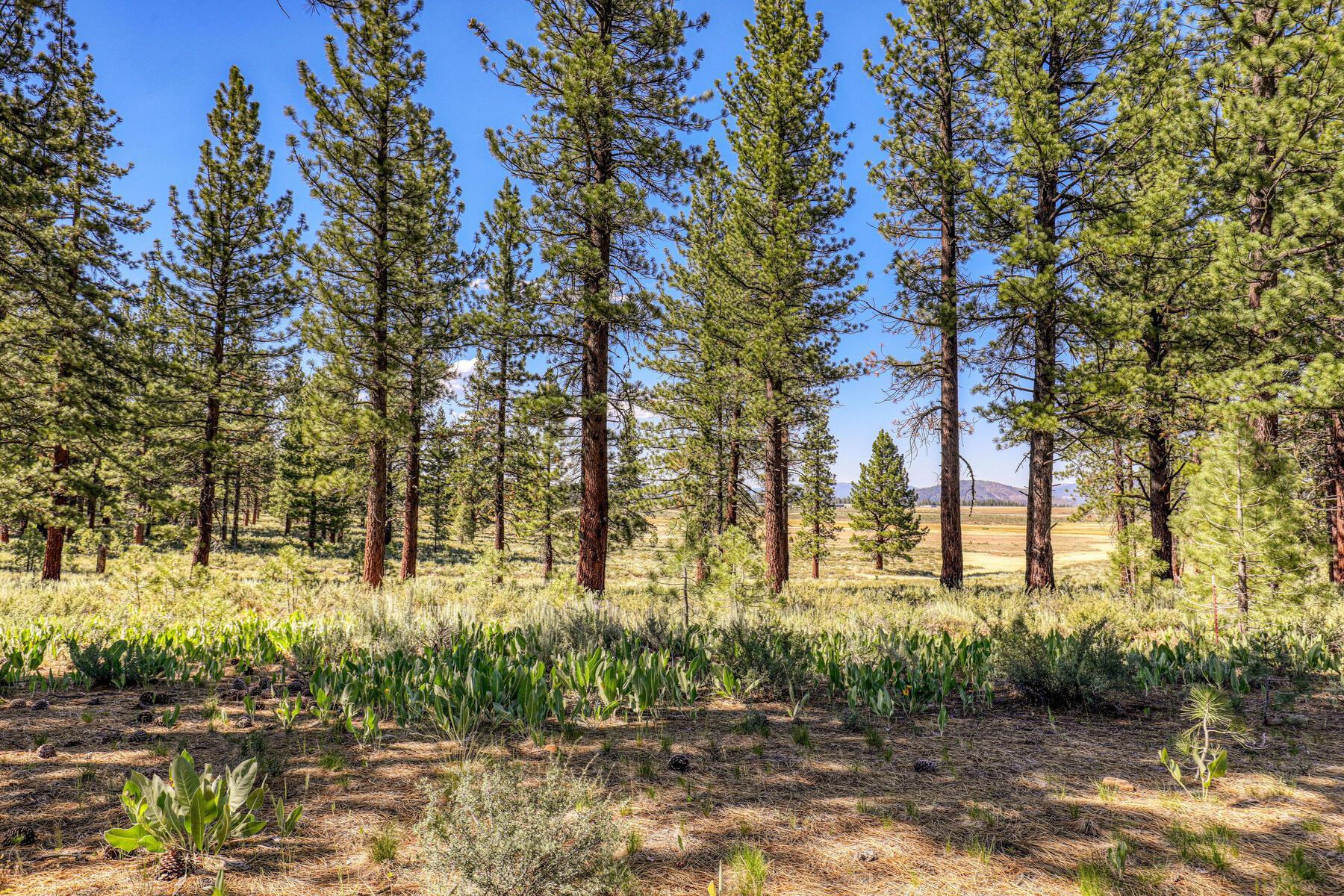 Image for 7445 Lahontan Drive, Truckee, CA 96161