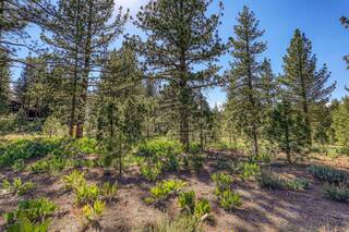 Listing Image 3 for 7445 Lahontan Drive, Truckee, CA 96161