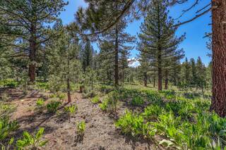 Listing Image 4 for 7445 Lahontan Drive, Truckee, CA 96161