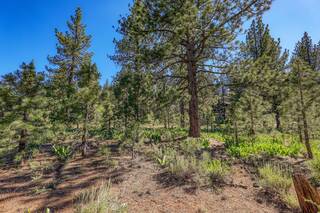 Listing Image 5 for 7445 Lahontan Drive, Truckee, CA 96161