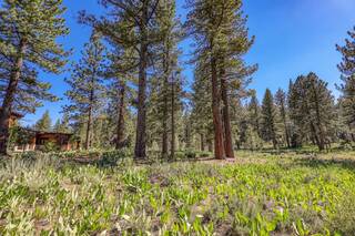 Listing Image 6 for 7445 Lahontan Drive, Truckee, CA 96161