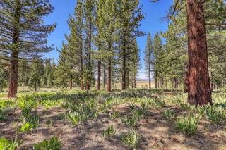 Listing Image 8 for 7445 Lahontan Drive, Truckee, CA 96161