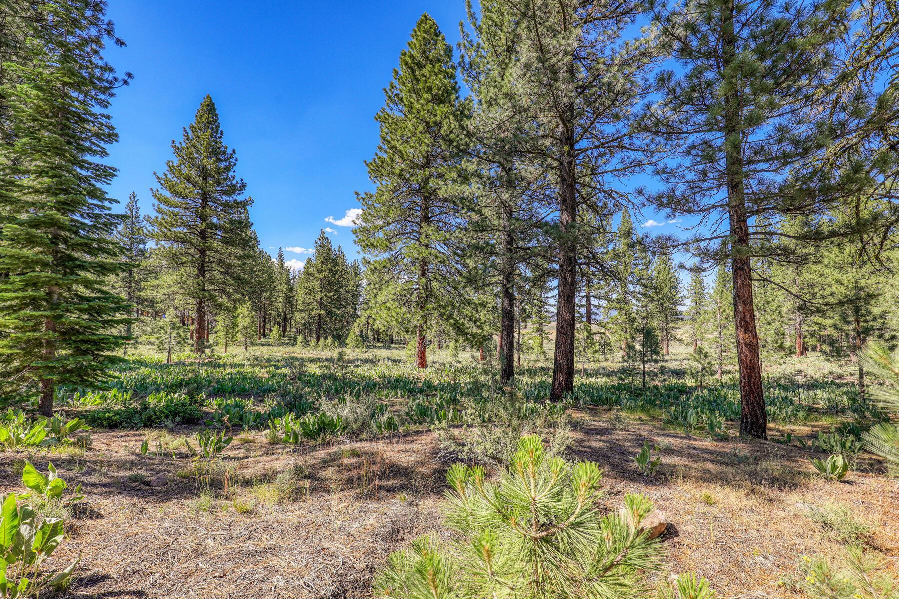 Image for 7455 Lahontan Drive, Truckee, CA 96161