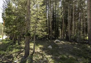 Listing Image 7 for 4143 Westshore Drive, Soda Springs, CA 95728