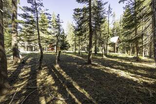 Listing Image 9 for 4143 Westshore Drive, Soda Springs, CA 95728