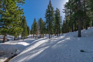 Listing Image 11 for 2640 Mill Site Road, Truckee, CA 96161