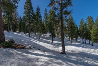 Listing Image 13 for 2640 Mill Site Road, Truckee, CA 96161