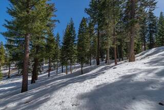 Listing Image 17 for 2640 Mill Site Road, Truckee, CA 96161