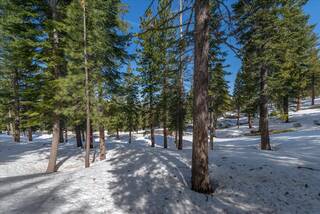 Listing Image 18 for 2640 Mill Site Road, Truckee, CA 96161